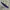 Canvas belt hilfiger navy photo 3