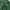Streetwear Casual Varsity jacket Pria green photo 6
