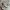AlbertExplorer Korean Olive Hunting Parachute Hooded Jacket photo 5