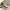 AlbertExplorer Korean Olive Hunting Parachute Hooded Jacket photo 4