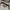 AlbertExplorer Korean Olive Hunting Parachute Hooded Jacket photo 7
