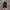 Balaclava black  photo 1