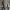 Sweather Hoodie Zipper Sherpa Vn1glo Gray photo 6