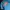 Tshirt Baju Th3 N0rth F4c3 Blue ocean  photo 1