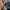 Variety Starbucks Ceramic  Tumbler photo 4