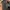 Variety Starbucks Ceramic  Tumbler photo 6