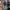 Variety Starbucks Ceramic  Tumbler photo 10