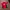 Jersey UMBRO photo 1