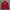 Feltics Coach Jacket photo 3