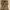 VEST TEDDY BEAR photo 1