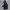 Jaket Outdoor Nepa Xvent Interhole Gorpcore photo 1