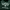 Guess Casual Hoody Pria green photo 4