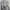 Columbia PFG Fishing Nylon Utility Shirt photo 5