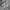 Sepatu Nike V2k Run Pure Platinum Metallic Silver photo 1