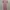 Dress  photo 3