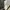 Jacket parka outwear zara man original 100% photo 3