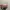 Balenciaga handbag pig skin pink leather good quality photo 8