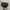 Slingbag michael kors green leather original sale net price photo 1