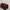 Slingbag Gucci Marmont Matelasse Multi Colour Rare Good Qual