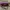 Slingbag gucci marmont matelasse multi colour rare good qual photo 6