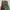 Slingbag gucci marmont matelasse multi colour rare good qual photo 4