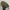 Slingbag gucci marmont matelasse multi colour rare good qual photo 2