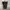 Thrashed BAPE URSUS  Paint Splatter Short Cargo Pants photo 8