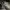 Ransel jumbo louis vuitton supreme black epi leather good  photo 6