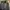 Ransel jumbo louis vuitton supreme black epi leather good  photo 3