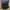 Ransel jumbo louis vuitton supreme black epi leather good  photo 10