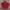 Blackyak Streetwear Sportswear Windbreaker Pria red photo 2