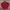 Blackyak Streetwear Sportswear Windbreaker Pria Red