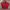 Blackyak Streetwear Sportswear Windbreaker Pria red photo 1