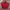 Blackyak Streetwear Sportswear Windbreaker Pria Red