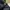 Briefcase bottega veneta navy leather mulus good quality photo 4