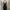 Irreguler Hem Layered
