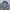 Nike 00s Nylon Jaket Tech photo 3