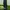 Dejavu Trouser Catton wide photo 4