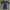 asics lengan pendek photo 1