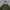 Parka Jacket by Kiloruan photo 5