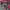 Mizuno Half Zip Training Jersey Black Pink photo 3
