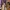 mocca long dress photo 4
