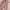 Uniqlo Parasut Lightweight Pink Second photo 5