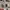 MOD R234 Fs Fullshet photo 1