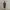 LAFUDGE STORE M1965 FISHTAIL PARKA 