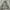Army military jacket photo 7