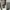 Army military jacket photo 8