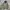 Army military jacket photo 2