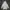 Casual Track jacket Pria gray photo 3