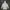 Casual Track Jacket Pria Gray